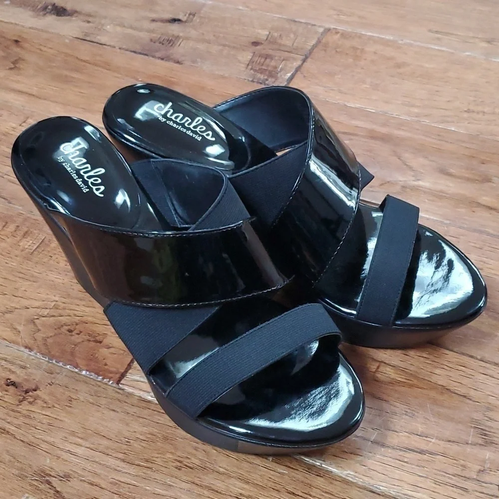 Charles by Charles David Fefe wedge sandals
